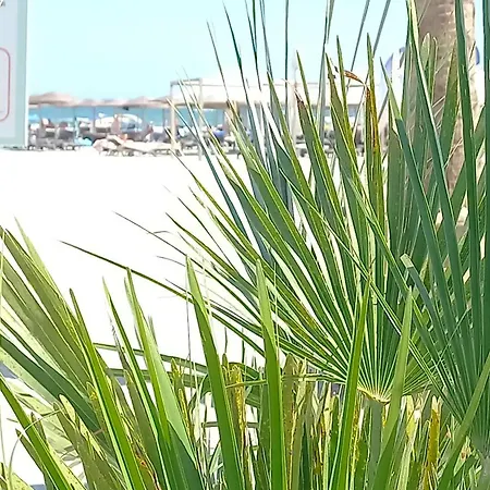 Апартаменты Luxury Promenada - Frontal Beachfront Mamaia Nord