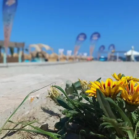 Luxury Promenada - Frontal Beachfront Mamaia Nord